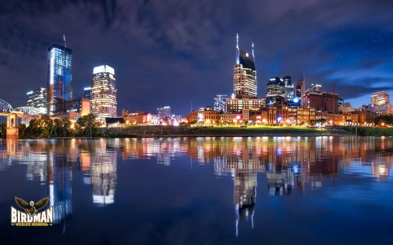 Nashville skyline at night reflected in the Cumberland River, featuring prominent city buildings under a cloudy night sky with Birdman Wildlife Removal logo in the corner.